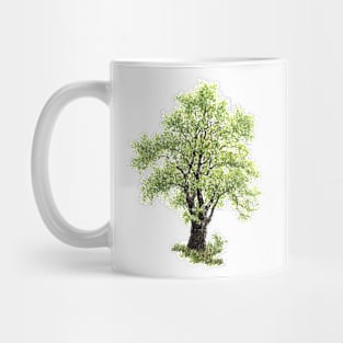 April birthday elm tree Mug